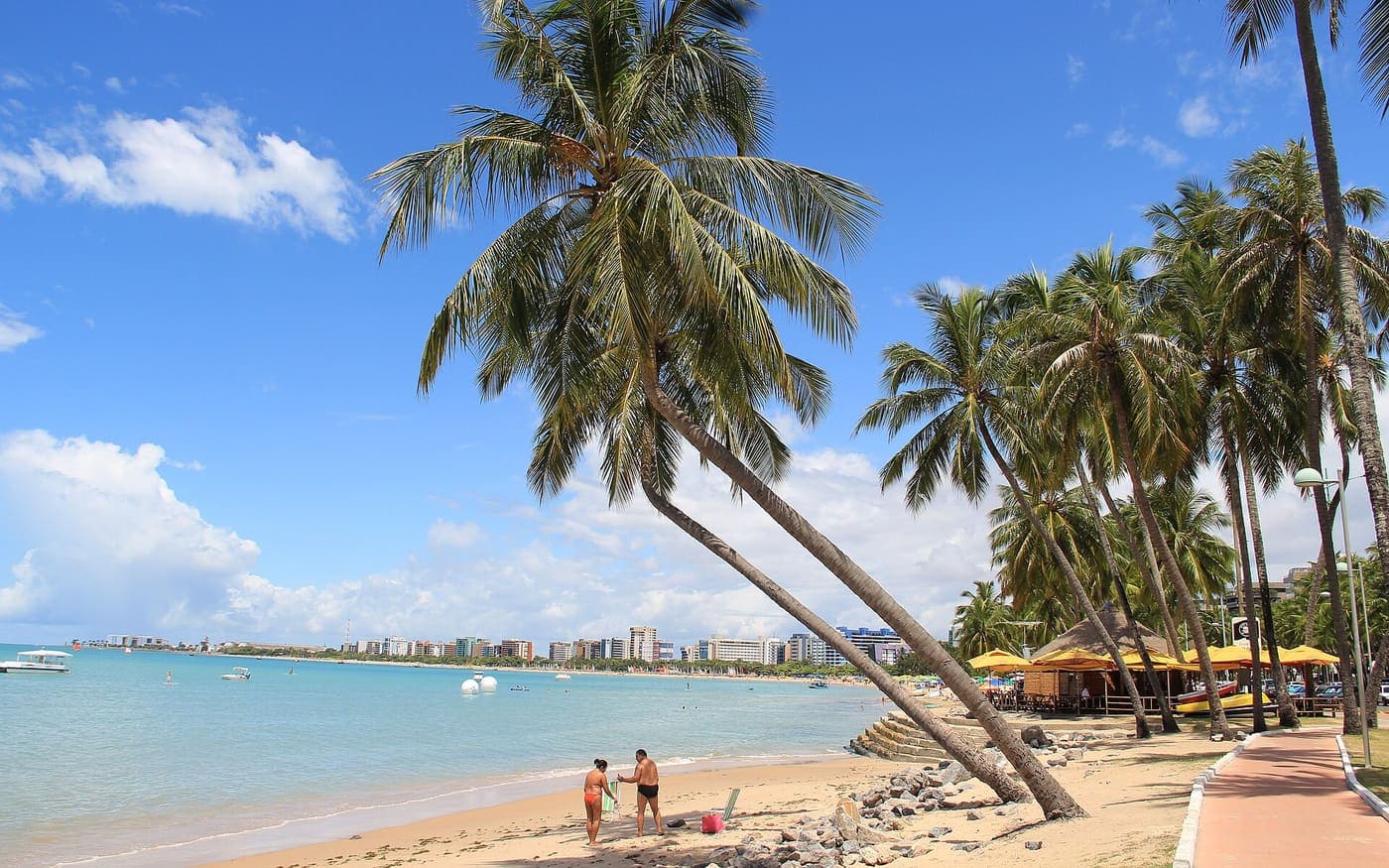 Coqueiros inclinados sobre a areia e o mar azul-claro da praia de Pajuçara, em Maceió